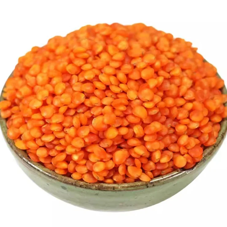China Manufacturer Direct Sale Red Split Lentils Red Lentils Price Good Masoor Bulk Red Lentils With 25Kg/Bag Packing