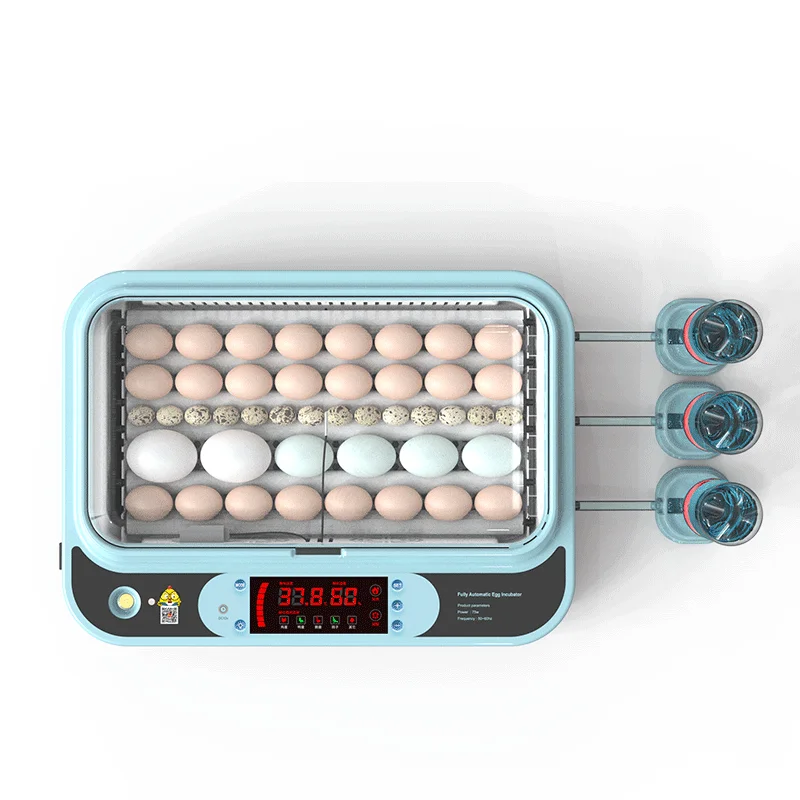 Small size egg incubator hatching 90 quail eggs fully automatic temperature and humidity