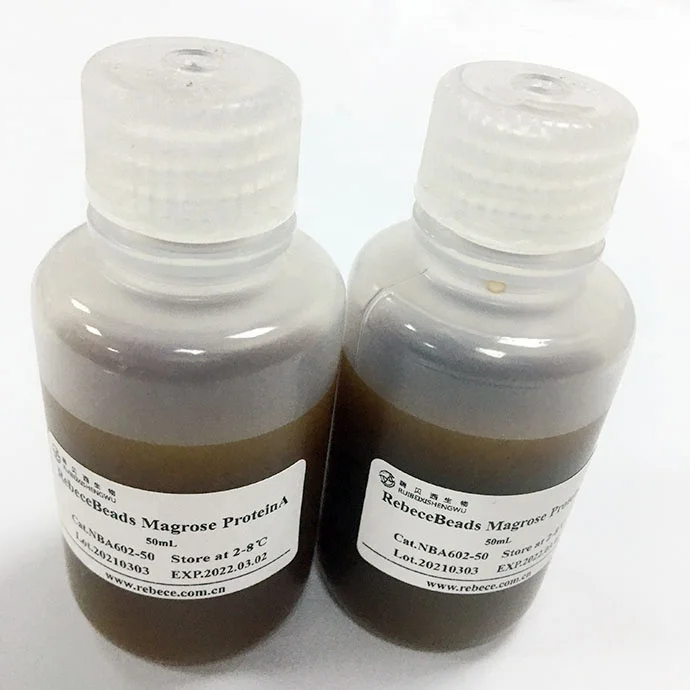  China Factory Supplied Top Quality Superparamagnetic Beads Protein A Extraction