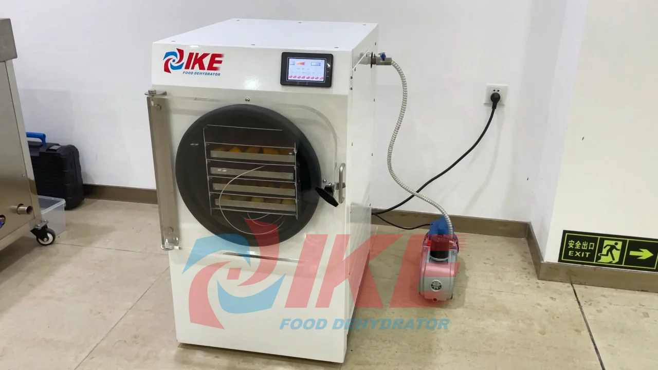 Home Use Freeze Drying fruits and vegetables Food Dehydrator  Vacuum Freeze Dryer Machine