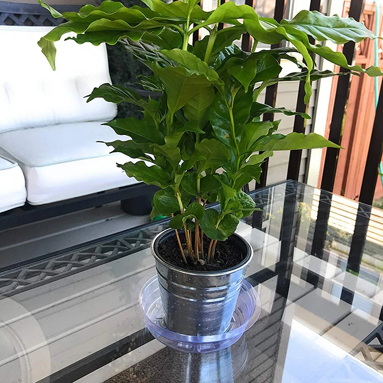 Hydroponics Indoor Garden Plastic Grow Saucer/Plant Plastic Saucer/Plant Pots Plastic Saucer