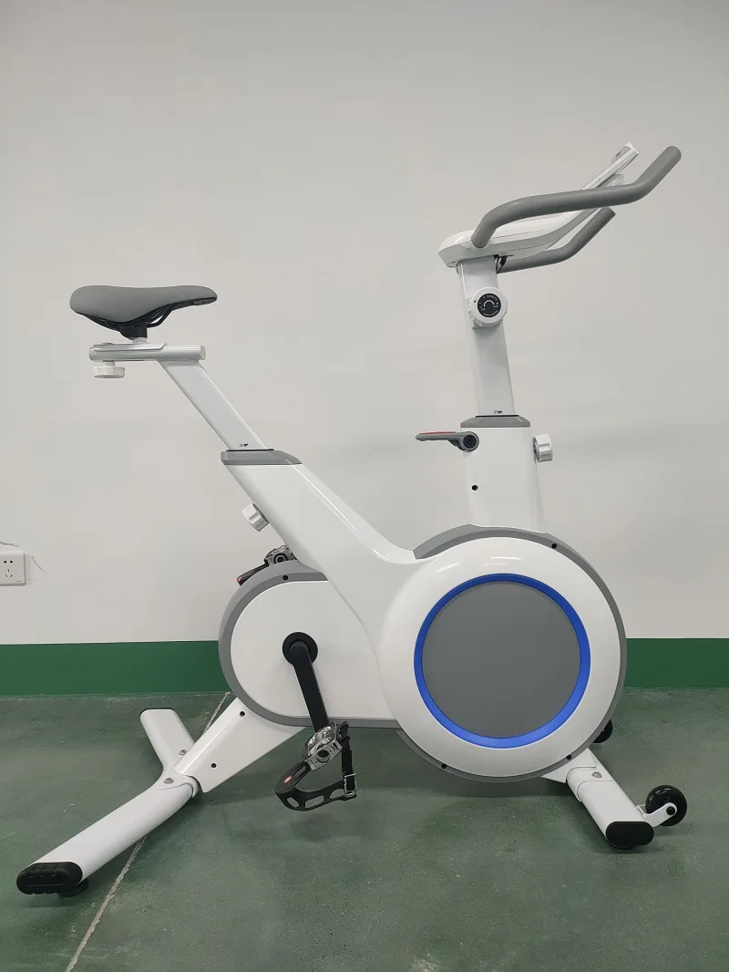 Indoor Spin Bike Exercise Cycling Bicycle Fitness Spinning Bike for Home Gym Cardio