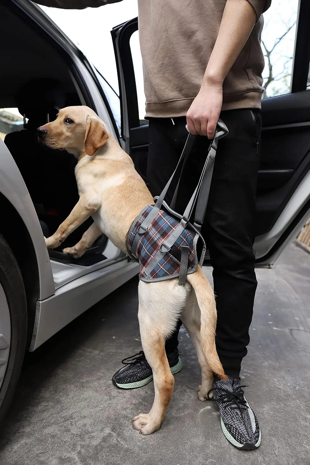 High Quality Comfortable Hind Leg Disability Omni-directional Auxiliary Good Helper Dog Lift Harness