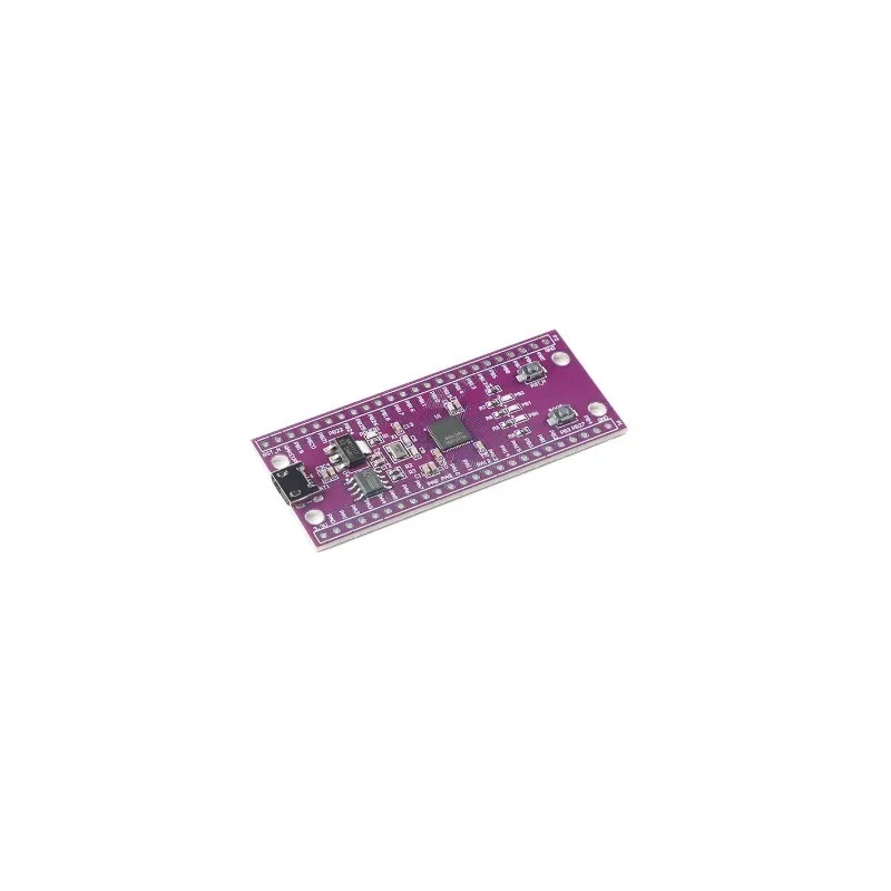 W806 Microcontroller 240MHZ 5-8Bit STM32 Development Board CH340 IoT MCU Chip CDK Development Environment Low Power IOT