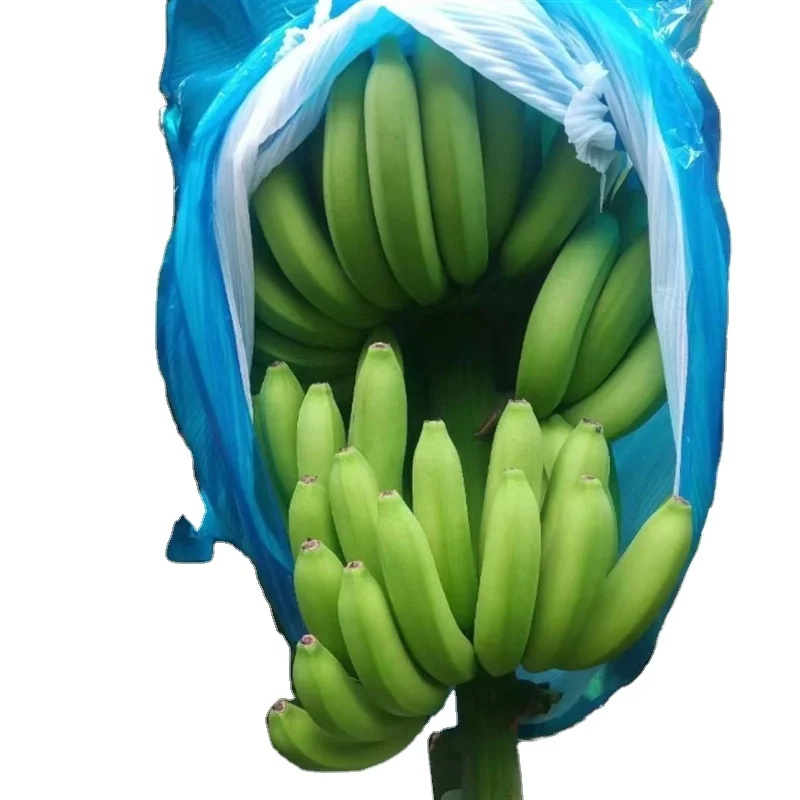 Fruit Protection Bags Pest Control Anti-Bird Netting Bags Mesh Grape Planter Grow Bags fruit packing
