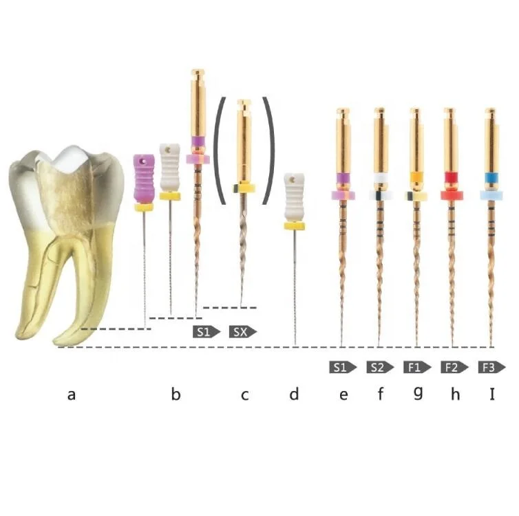 Dental endodontic treatment endo rotary file / Root canal instruments rotary endo file niti / Endodontic file instruments rotary