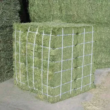 Premium Grade Alfalfa Hay Crop Fresh Alfalfa Hay Beans for Wholesome Delights Bulk Alfalfa Hay Seeds Exporter