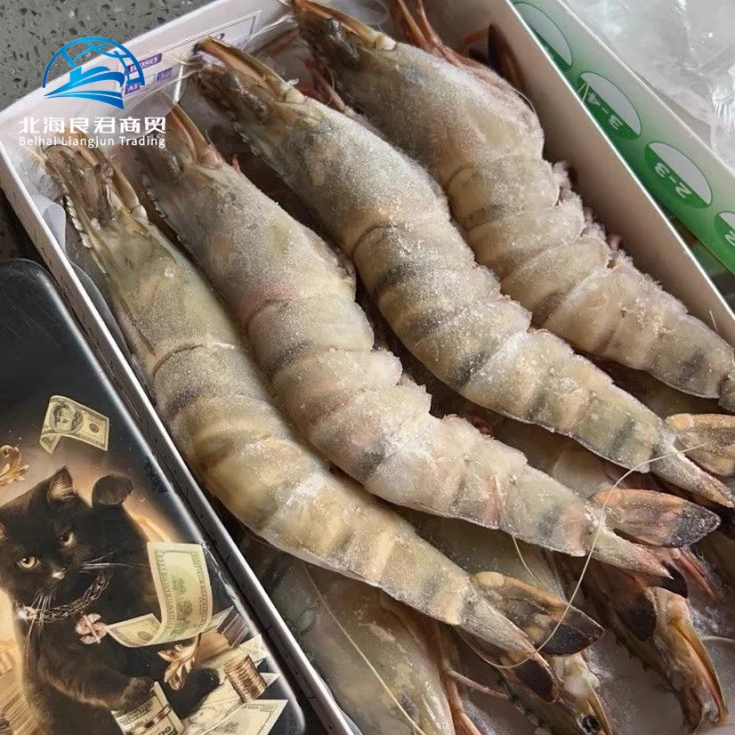 Direct Factory High Quality Wholesale importers White Shrimp/Fresh black tiger shrimps