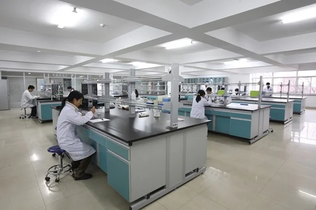 Size Ss 14G 16G G17 18G 21G G22 23G 25G 30G Disposable Metal Stainless Steel Veterinary Syringe Needle Manufacturer