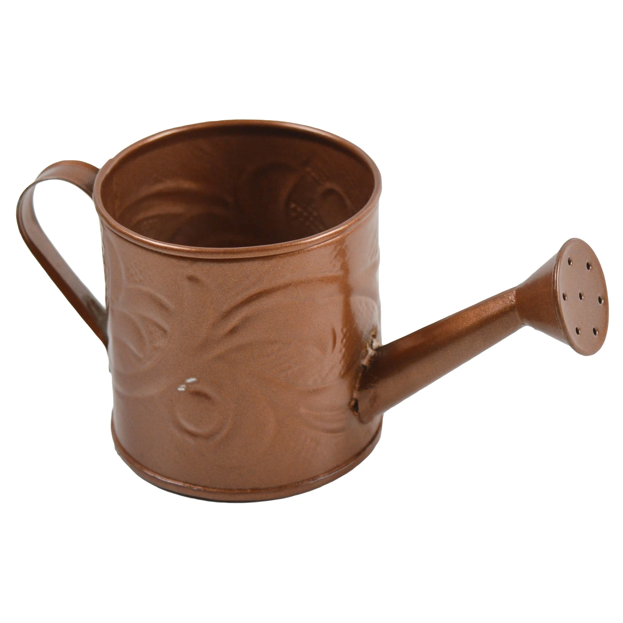 Antique Metal Iron Watering Can Outdoor Decor Green Plant Design Lacquer Finishing Design Water Storage Cans