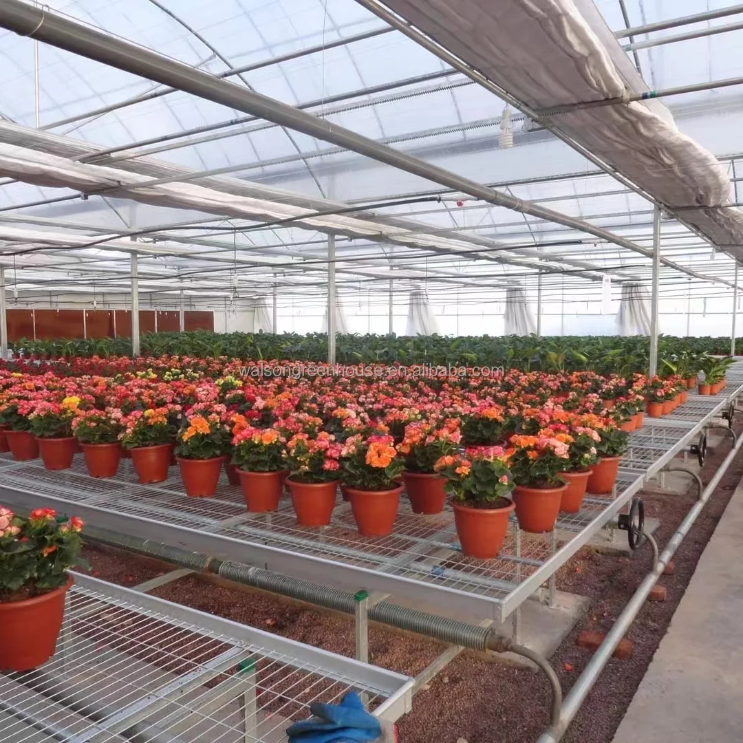 multi span plastic agricultural greenhouse with hydroponic system wide span greenhouse for strawberry growing