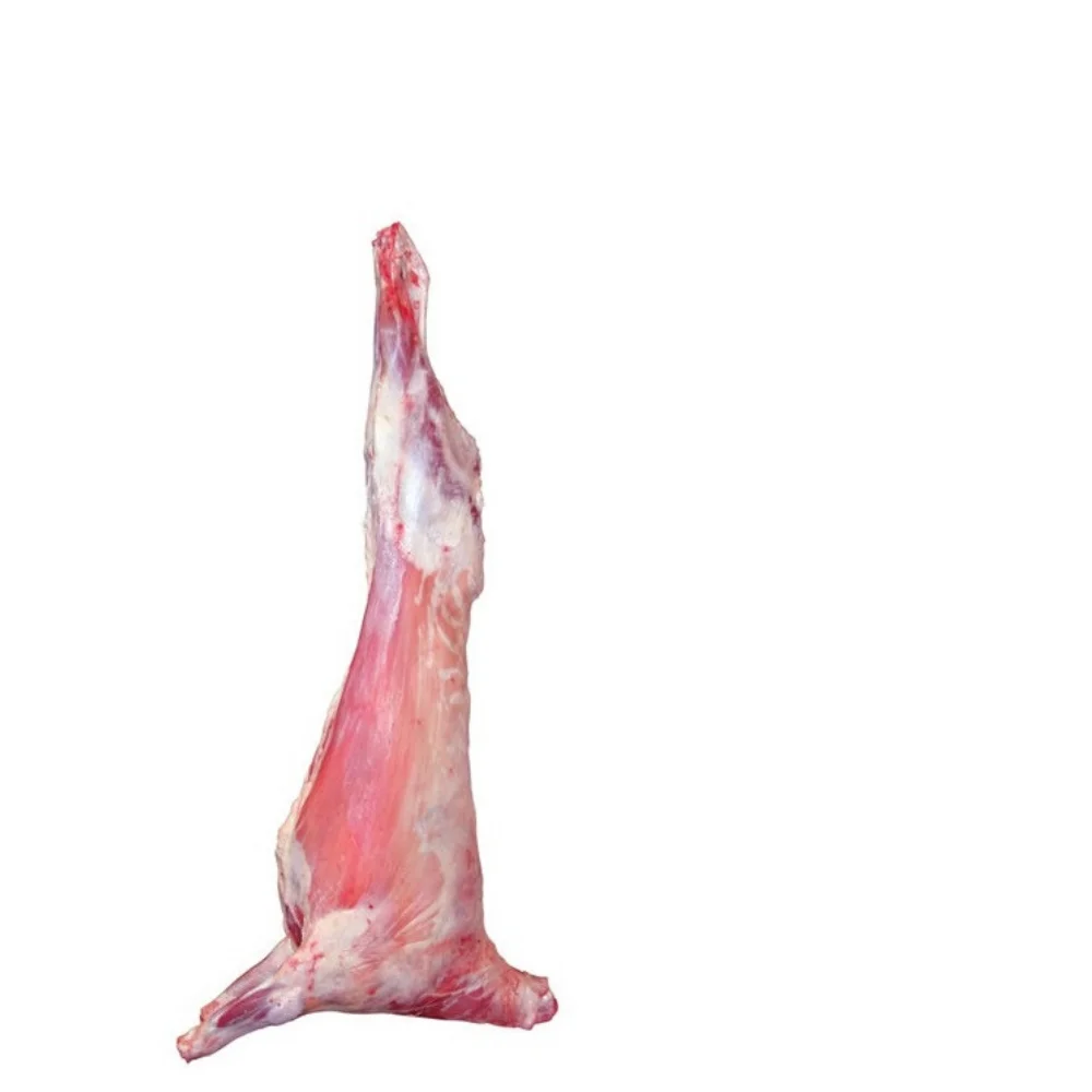 
Lamb meat hahal mutton meat from Kazakhstan 