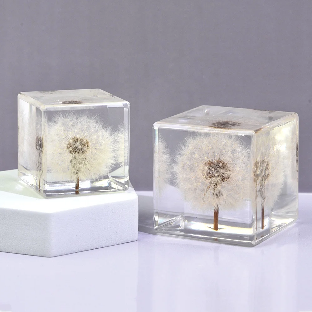 Preserved Dandelion in Resin Cube Paperweight Keepsake Resin Flowers Home Decorations  Dandelion Paperweights