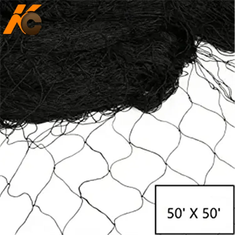 Factory Heavy Duty black  HDPE  2cm or 5cm hole Anti Bird Mesh Net for Farms Vineyard Agricultural Planting