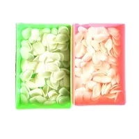 Best Selling Ceramic Professional Whitening Tray Dental W Nano Smile Without Grinding Clip On Veneer Tooth