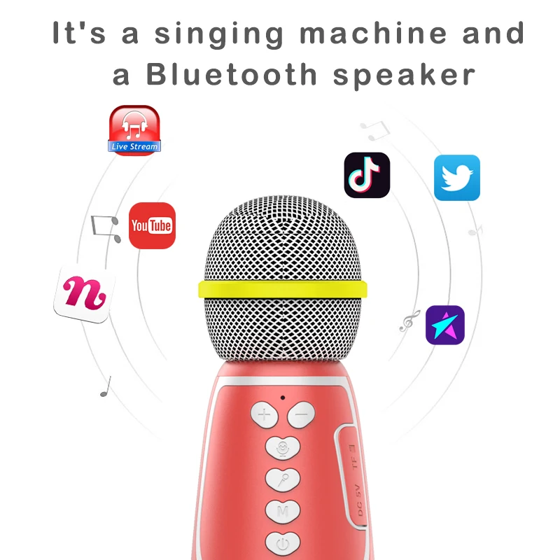 Kids Multi-function Light Music Battery Operated Echo Musical Instrument Karaoke Plastic Toy Microphone Set