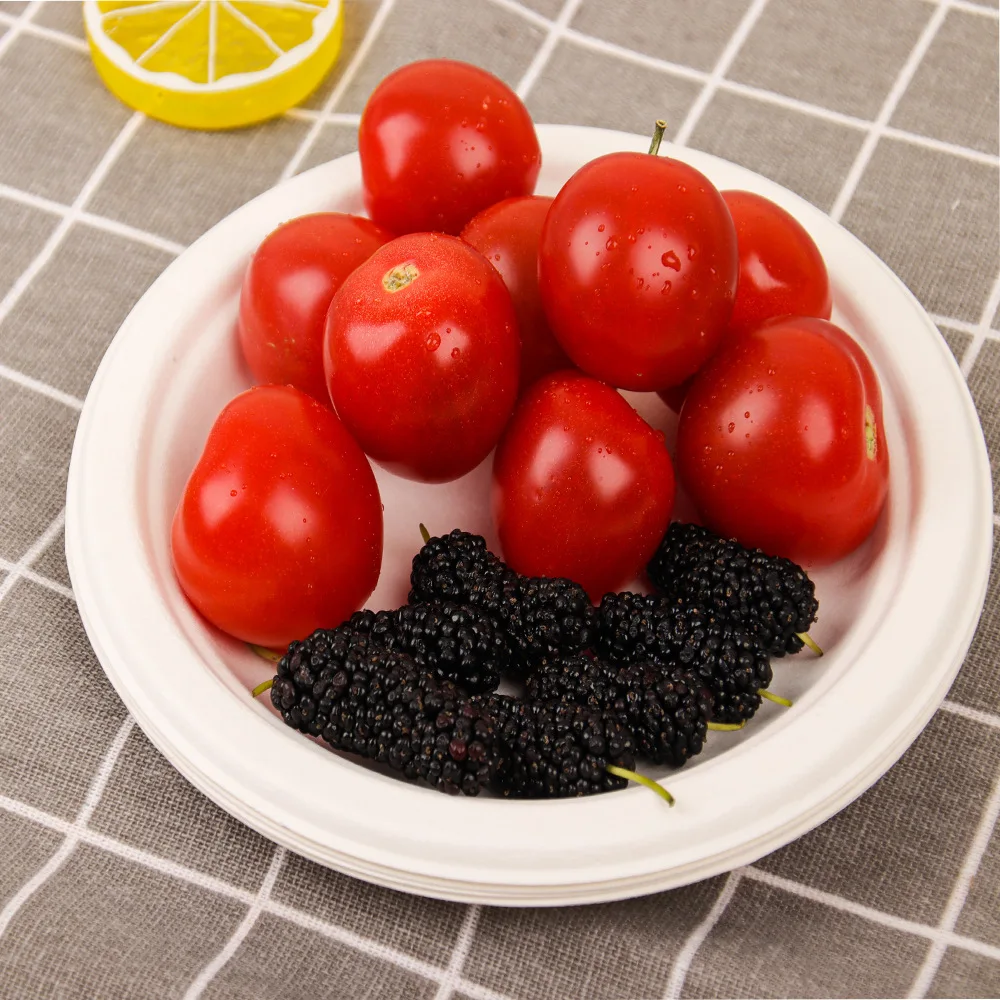 Disposable biodegradable round lace split cake drawing sugarcane pulp plate