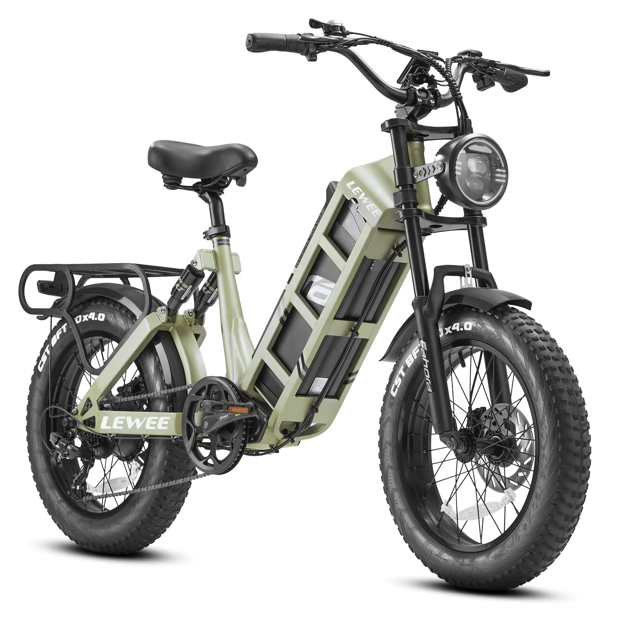 2023 Hot Sale 48v 60ah 1000W Electric Bike E Bike Long Range Electric Motorcycle Full Suspension  Bicycle With 20inch Fat Tire