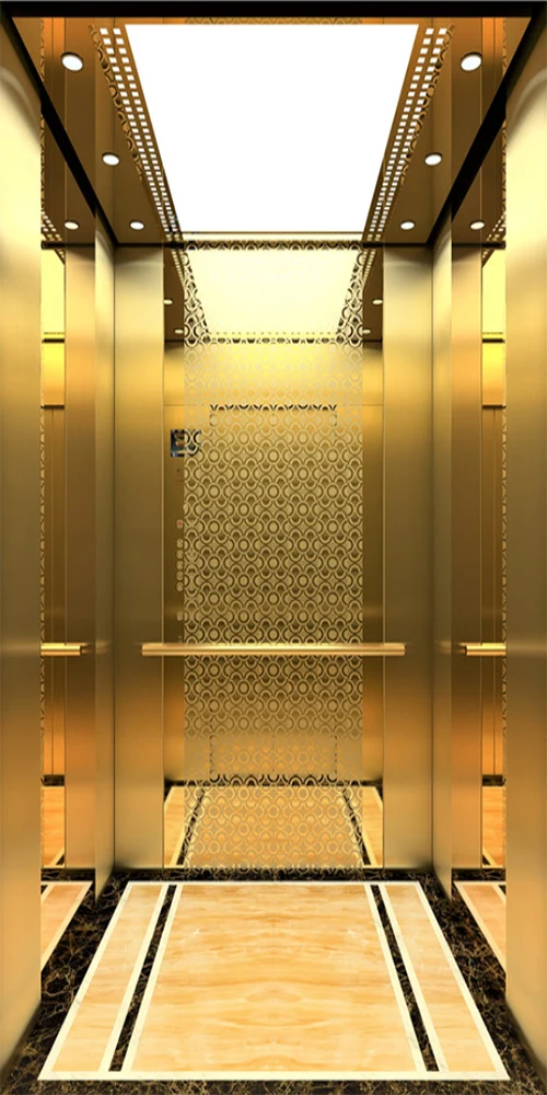 Customized 630KG 800kg 1000kg Passenger Elevator Residential Lift Commercial Building Elevator Ascenseur Pour Personnes