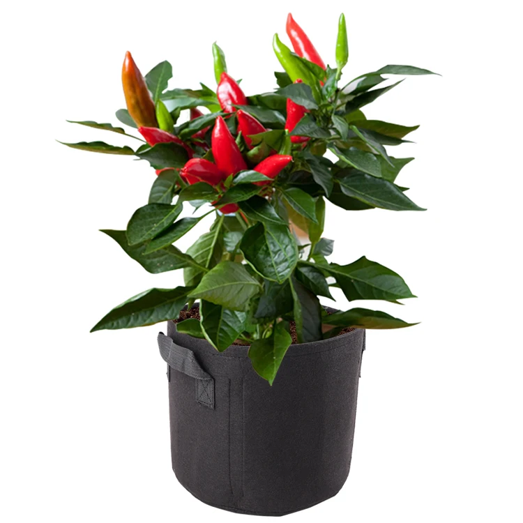 Нетканый горшок для выращивания картофеля, садовый фетровый мешок для аэрации, 10 галлонов