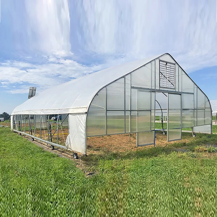 Skyplant Tropitcial roll up vent high tunnel plastic polythene greenhouses for sale