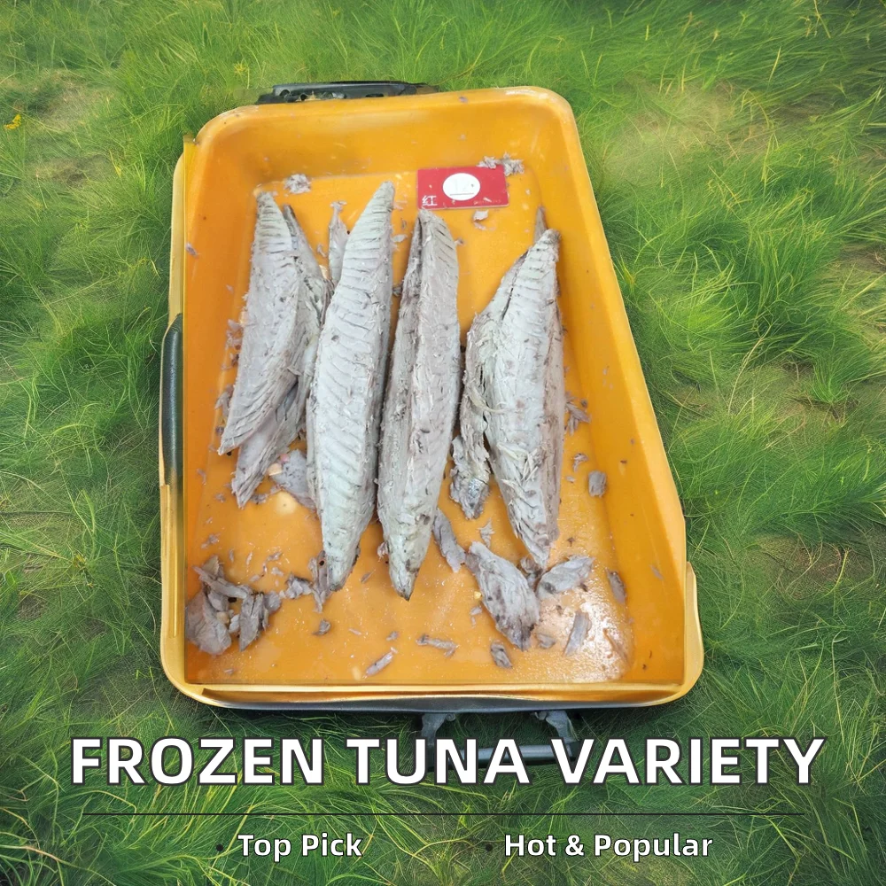 Cost - effective Nutritious Fresh Frozen seafood factory priceTuna Frozen seafood BQF 7.5kg Bonito for sale