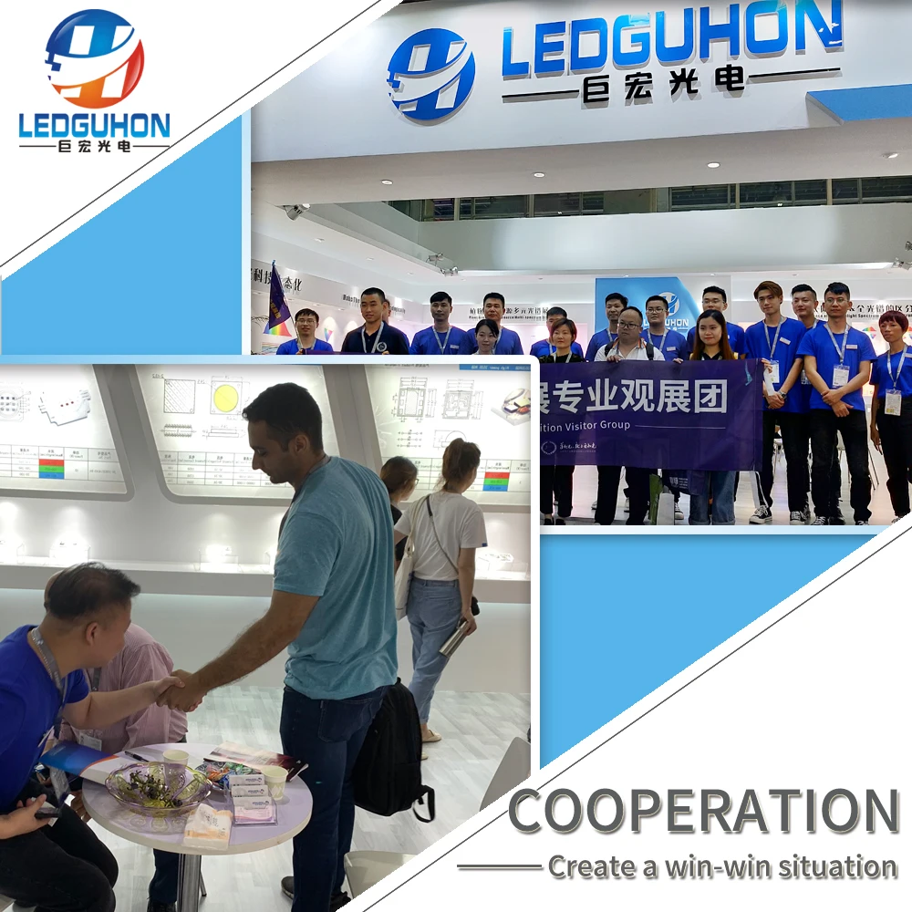 Led chip 2in1 5W white dual chips high power led diode