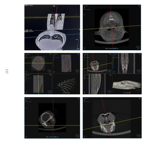 IN-VCT03 Veterinary Ct Scan Machine  Radiology Equipment Medical Pet Hospital Used 32 Slice Vet Dog Ct Scanner For Animal