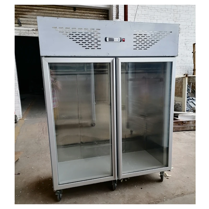 201/304 restaurant kitchen stainless steel fridge 2 doors upright commercial deep freezer refrigerator