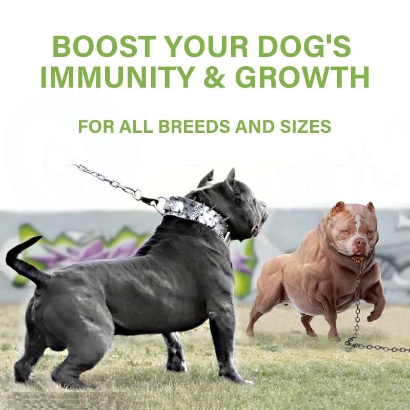 Pet Bully Development Muscle Gain Supplement High Protein Strengthens Immune Nutritional Muscle Dog Supplements