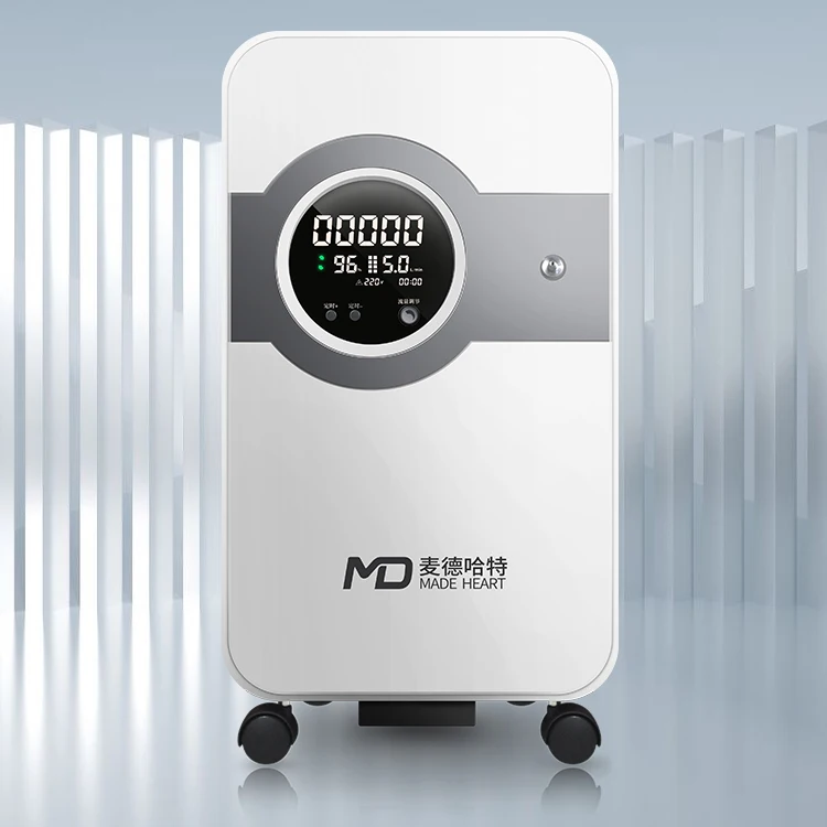 
Hot sale air intake filter oxygen concentrator portable 10l home oxygen concentrator 