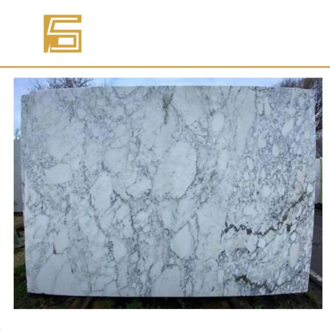arabescato cervaiole marble arabescato vagli marble for sale