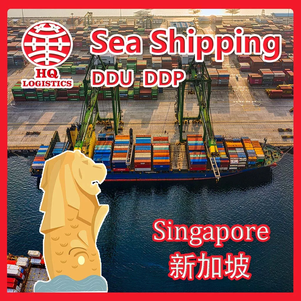 professional sea freight shipping freight agent to singapore taiwan express delivery sea freight to singapore