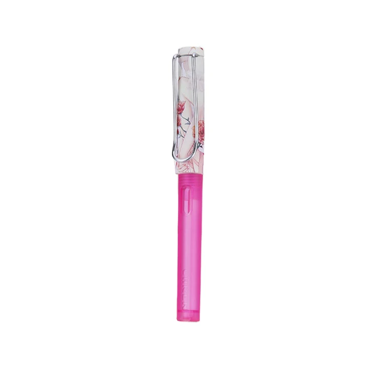 hot sale classic style  heat transfer film correction position dazzle colorful big nib and normal small nib plastic fountain pen
