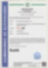 kitchen tripe shredding machine/ seafood fish slicing machine