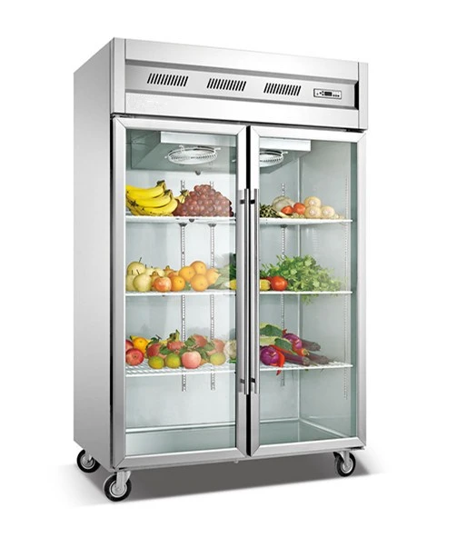 High Quality fruit and vegetable manufacturers chiller double door coca cola refrigerators for sale