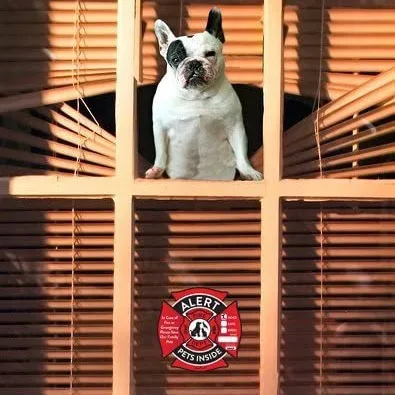 Pet Alert Stickers Pets Inside Fire Rescue Stickers Save Our Pets Finder Emergency Rescue Sign Window Stickers