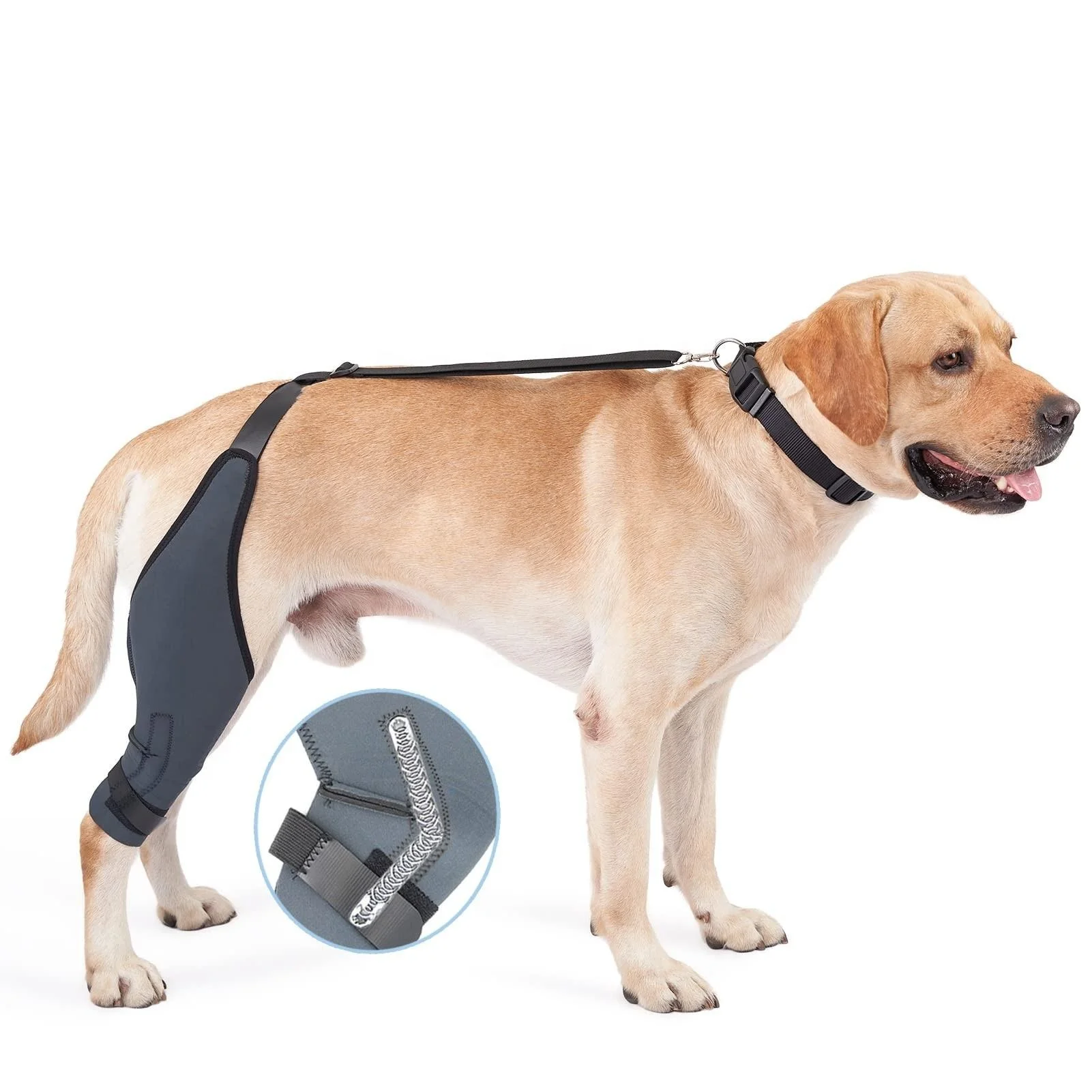 ODM service for  Canine Cruciate Ligament Recovery Pet Knee Support Joint Pain Acl Leg Dog Knee Brace with Connecting Straps