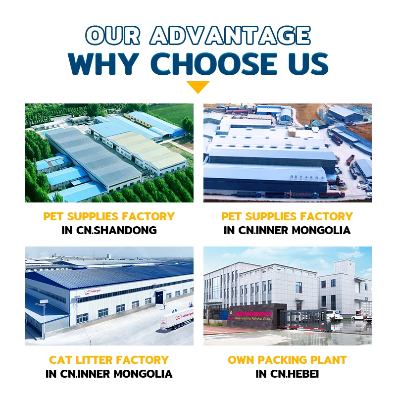 BSCI OEM ODM Factory Dust Free Green Tea Fragrance Ball Shape Bentonite Cat Litter