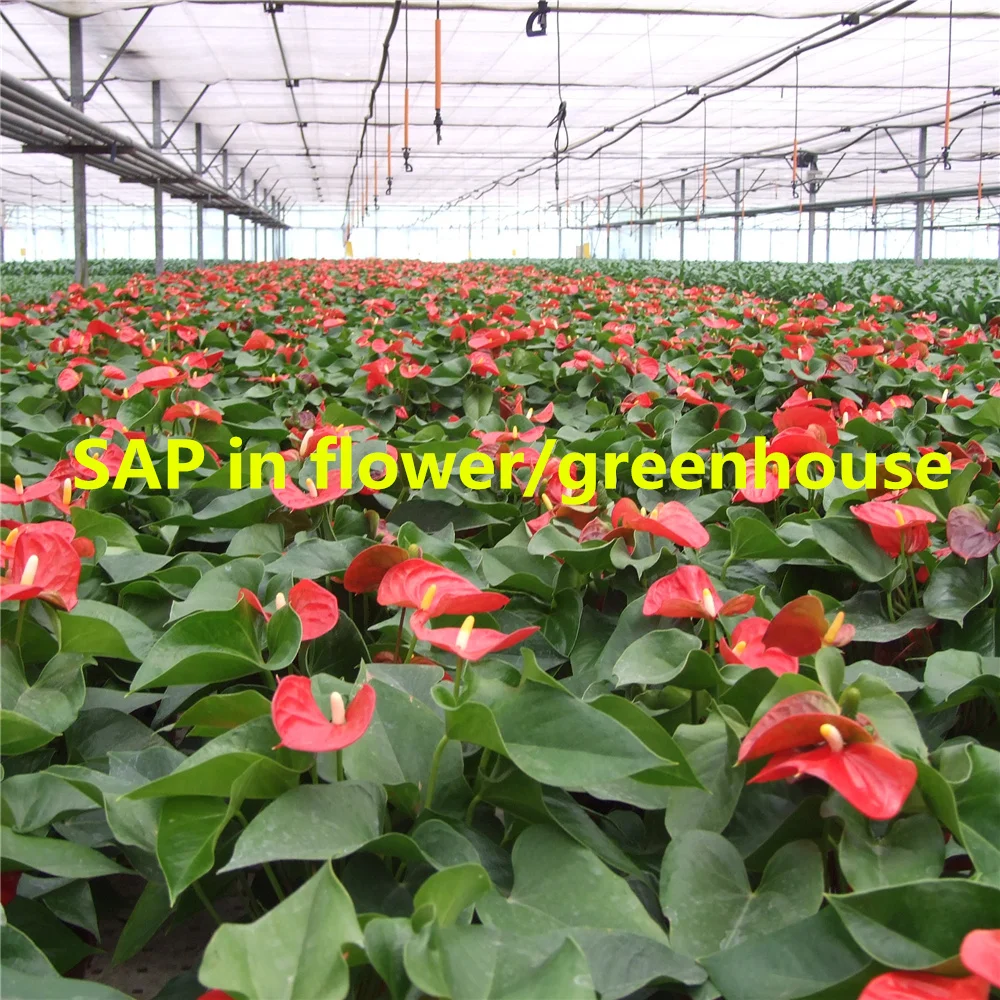 Manufactures Hydrogel Powder Potassium Polyacrylate Plant Gel Super Absorbent Polymer Agriculture SAP Water Retention Agent