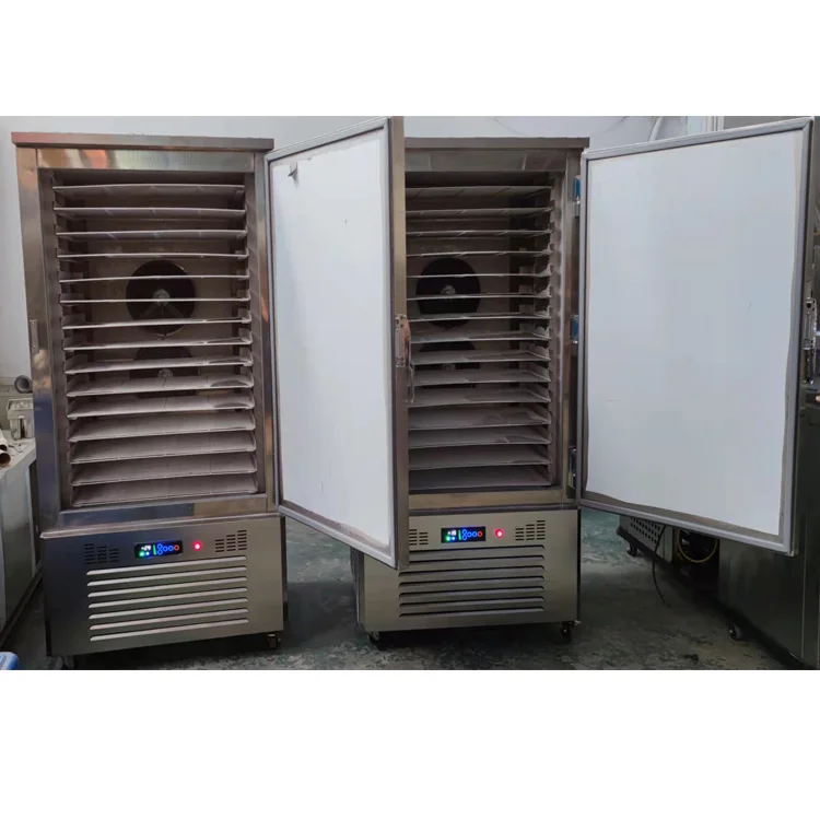 Professional Quick Freezer 15trays Blast Freezer CE approved Good quality stainless steel commercial blast chiller -40C for fish