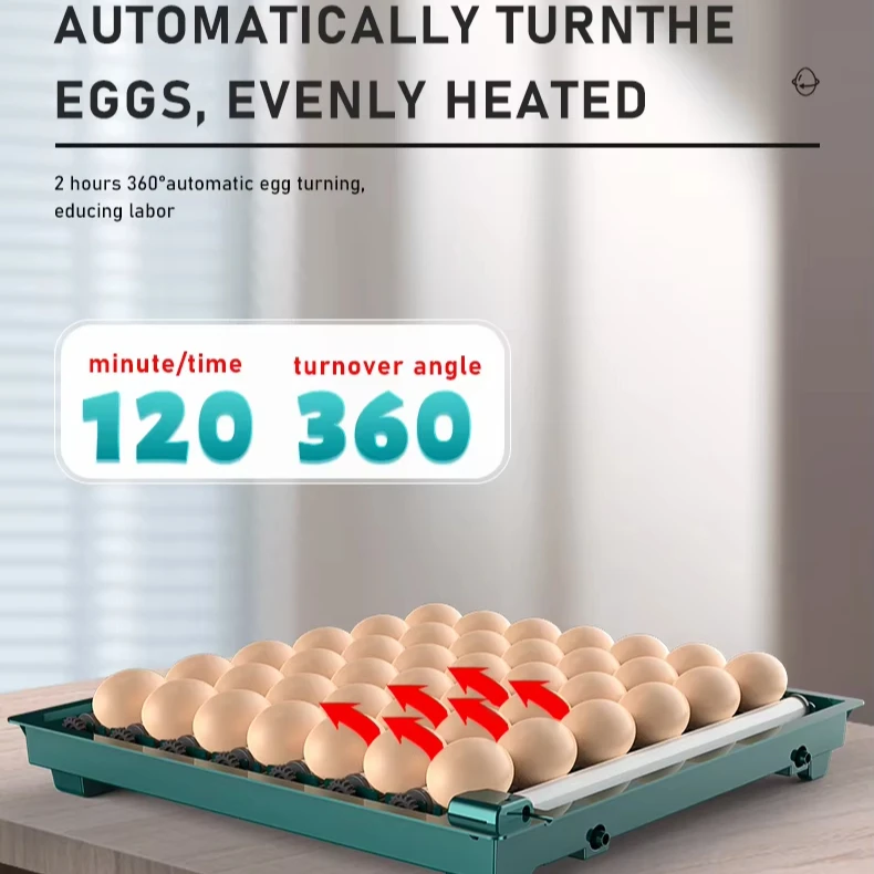 Mini 20 Egg Hatching Machine Automatic Chicken Egg Incubator For Sale