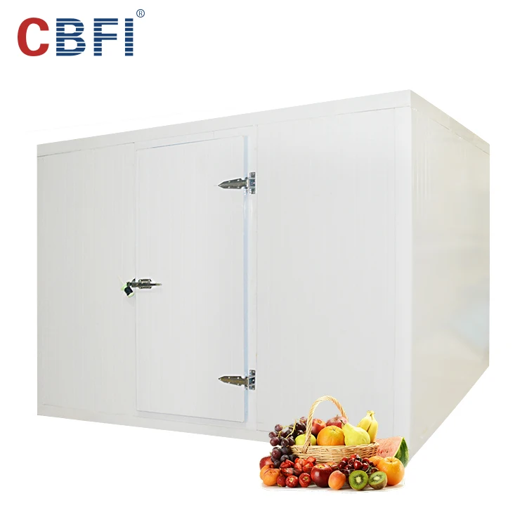 Best price frozen cold room for meat and fish storage