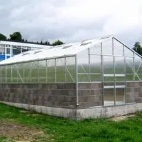 2024 Hot Selling PC Hollow Fire Resistant 10mm 16mm 18mm Twin Wall Multiwall Sheet Polycarbonate Greenhouse