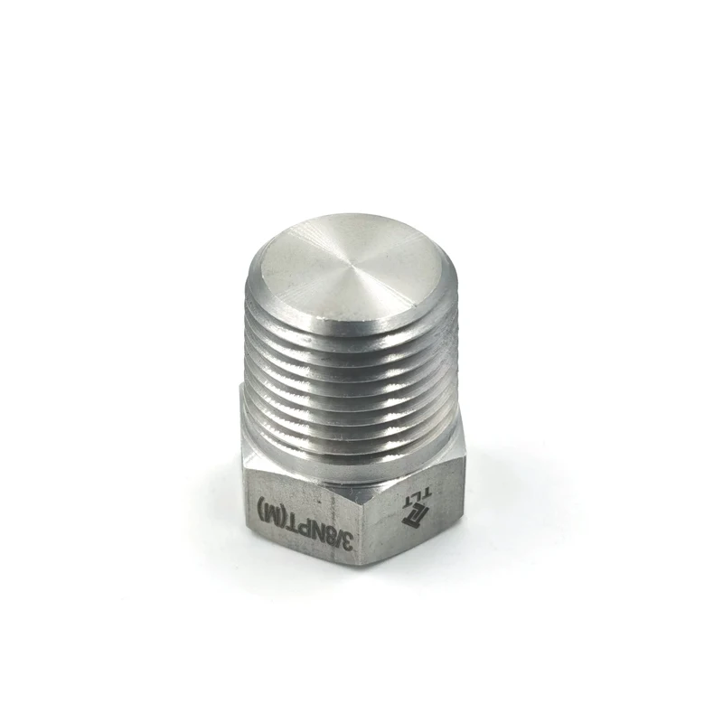 High Quality Stainless Steel 1/2 inch Testing  Pipe Fitting Plug