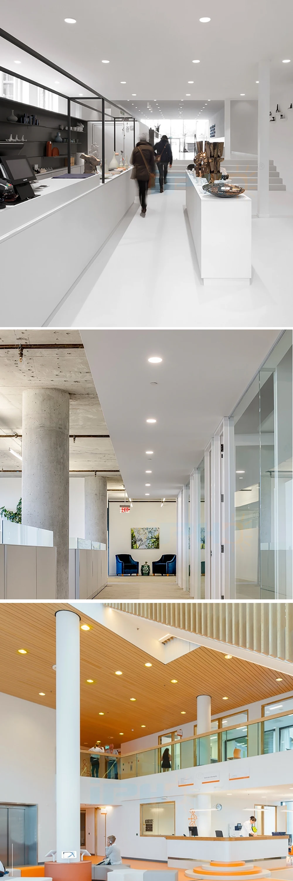 Cob Downlight Application.jpg