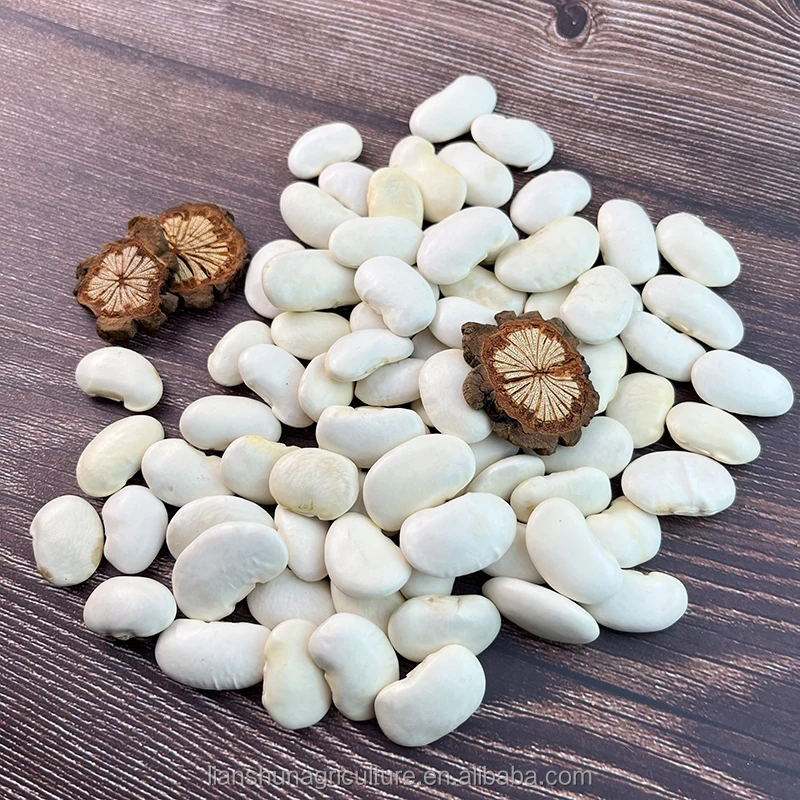 Hot Selling Factory price wholesale white kidney beans