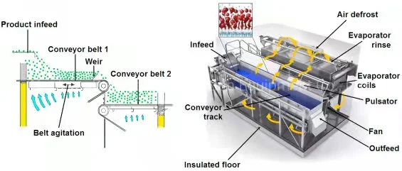 Fruit, Berry,Vegetable,And Seafood Single Quick Frozen Machine Suitable For 15g Products/Fluidized Bed Freezer