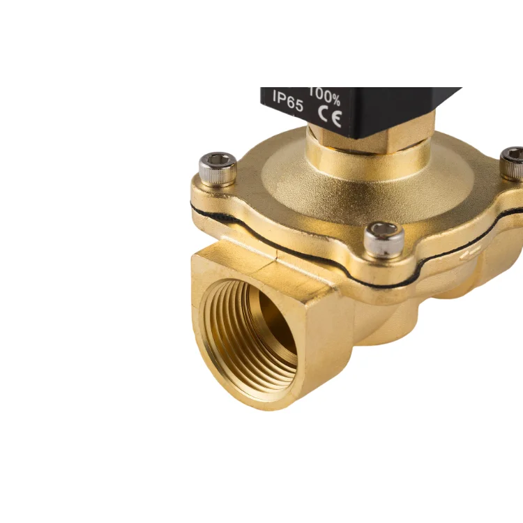 2 Inch 1 inch 12V DC 2W Brass solenoid valve normally open SS304 SS316 Submersible Solenoid Valve