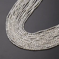 Hobbyworker, 2-2,5 мм, разноцветные бусины из пресноводного жемчуга для изготовления ювелирных изделий